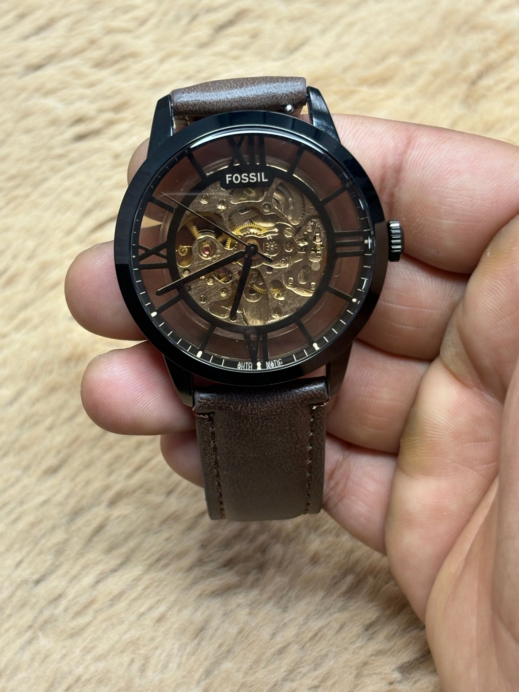 Fossil Brown Belt