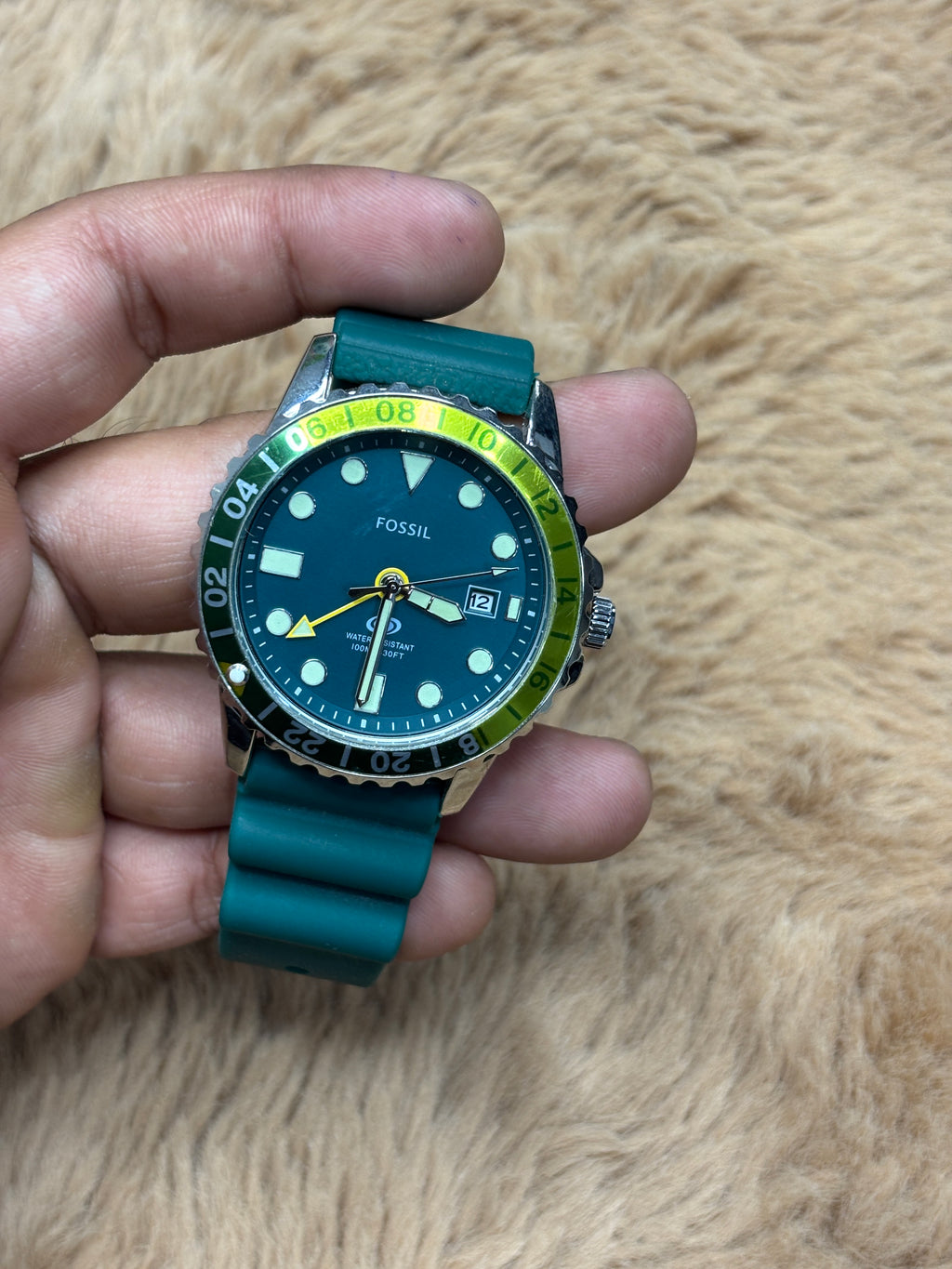 Fossil with Green Band